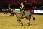 Quadrille - 00794